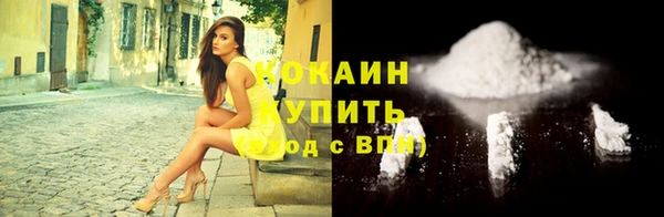 тгк Абаза